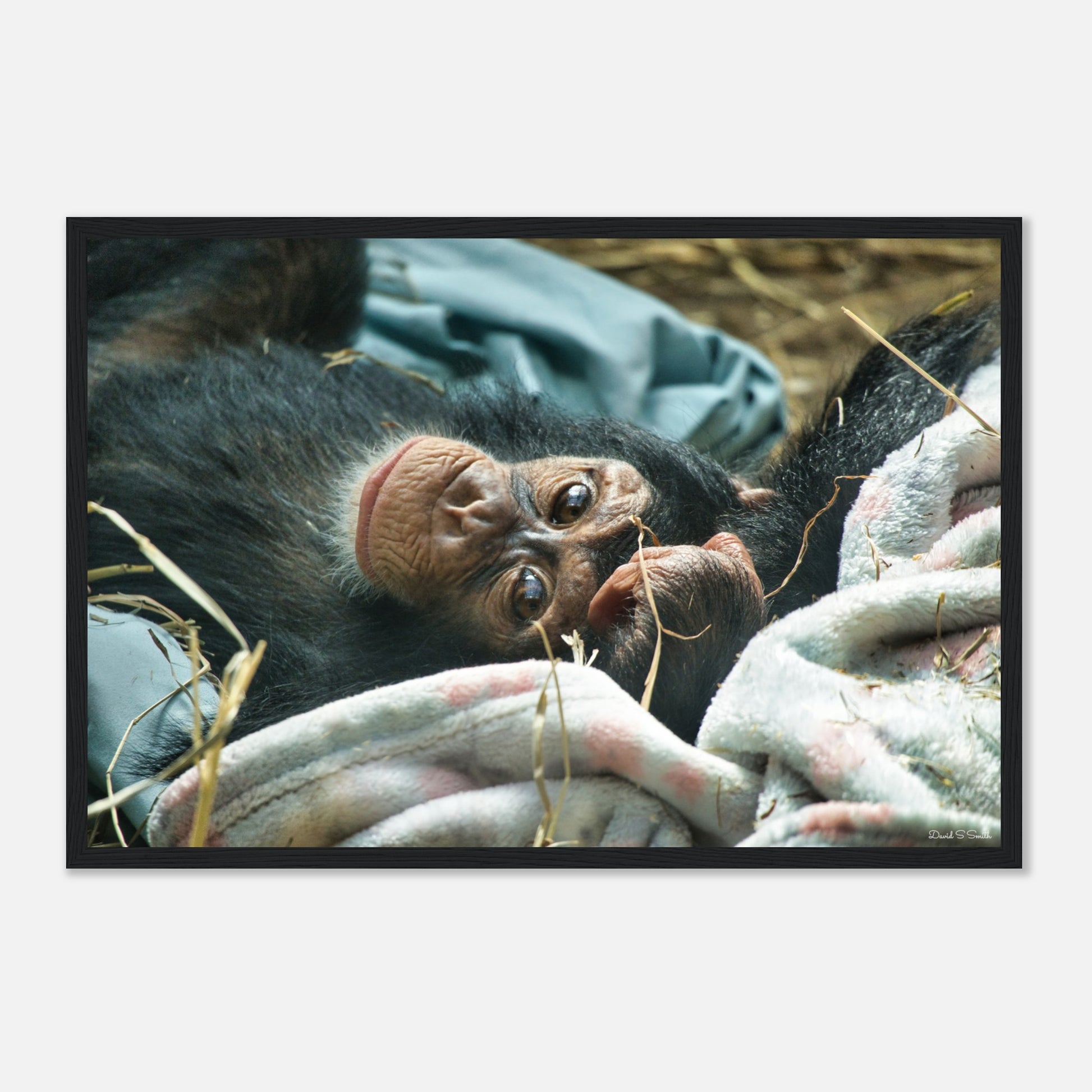 58af9747-0d89-4d70-a970-a17e37cb6ab7