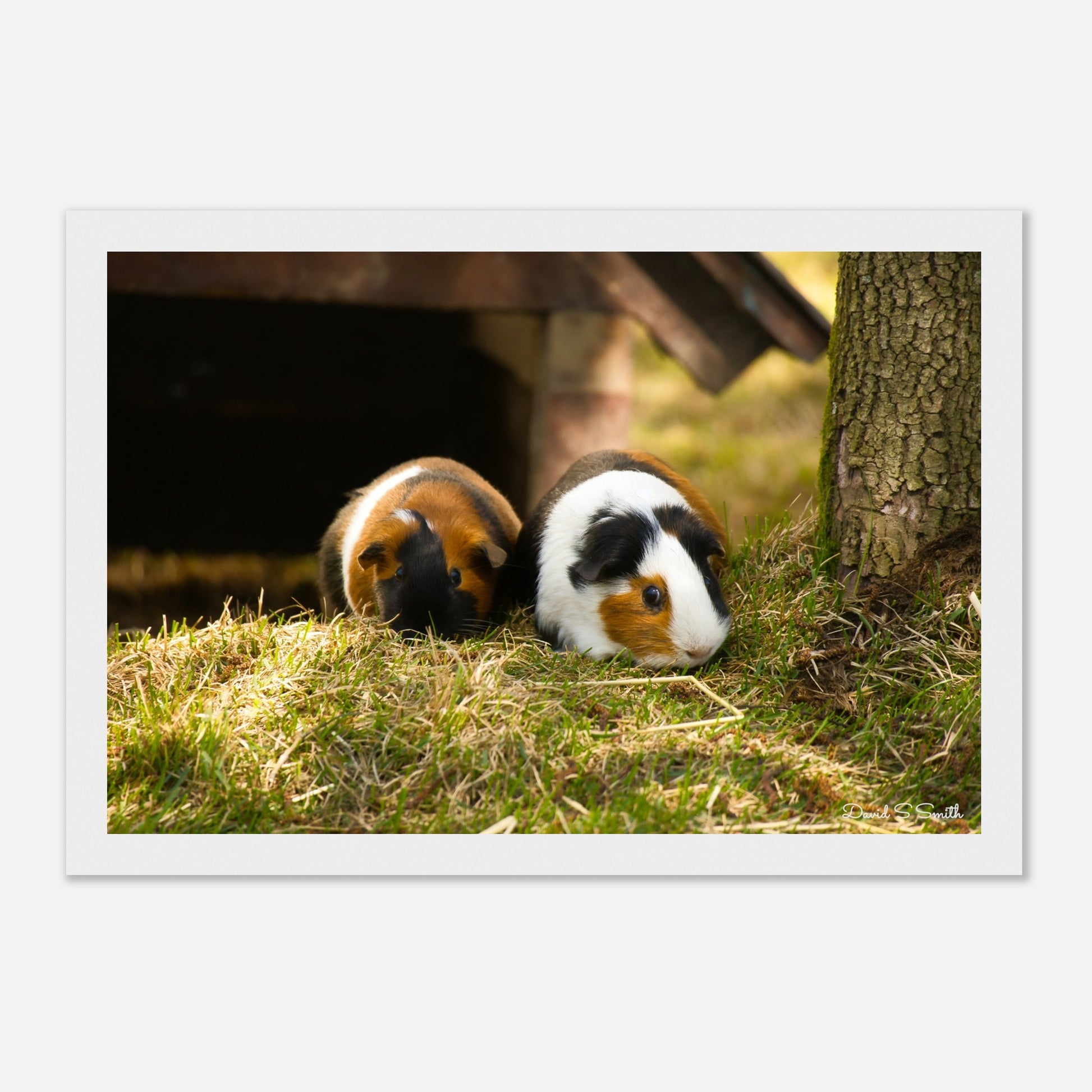 58fcb129-9269-479b-9c40-b61140d75330