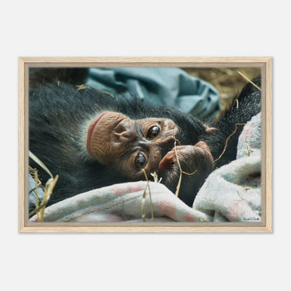 5967422e-2ca2-4b37-baff-af1161d1ca54