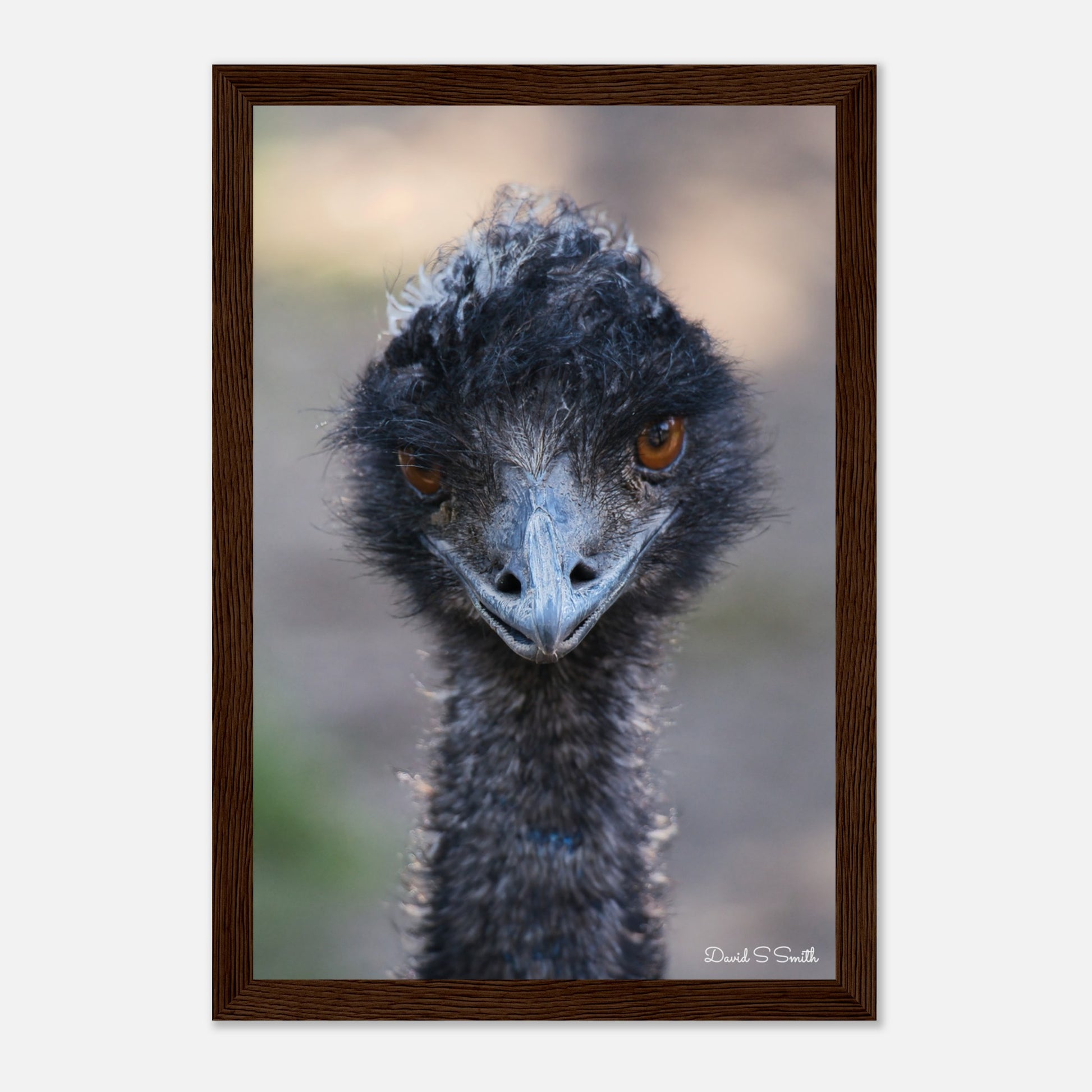 5ae6ac11-62d7-4180-b265-b1ee06d96aa0