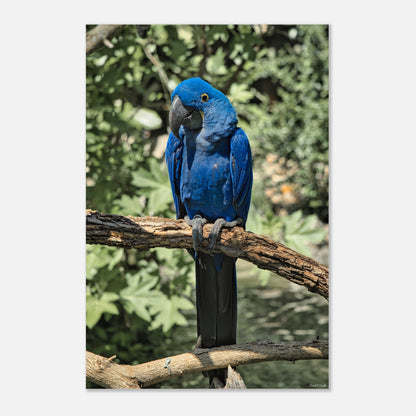 5c695519-1ce5-4dd1-99e0-b523bbca8865