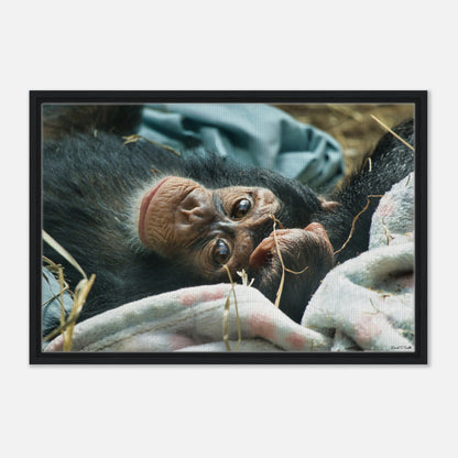 5c90ddba-6656-4067-92bb-6766ca570a20