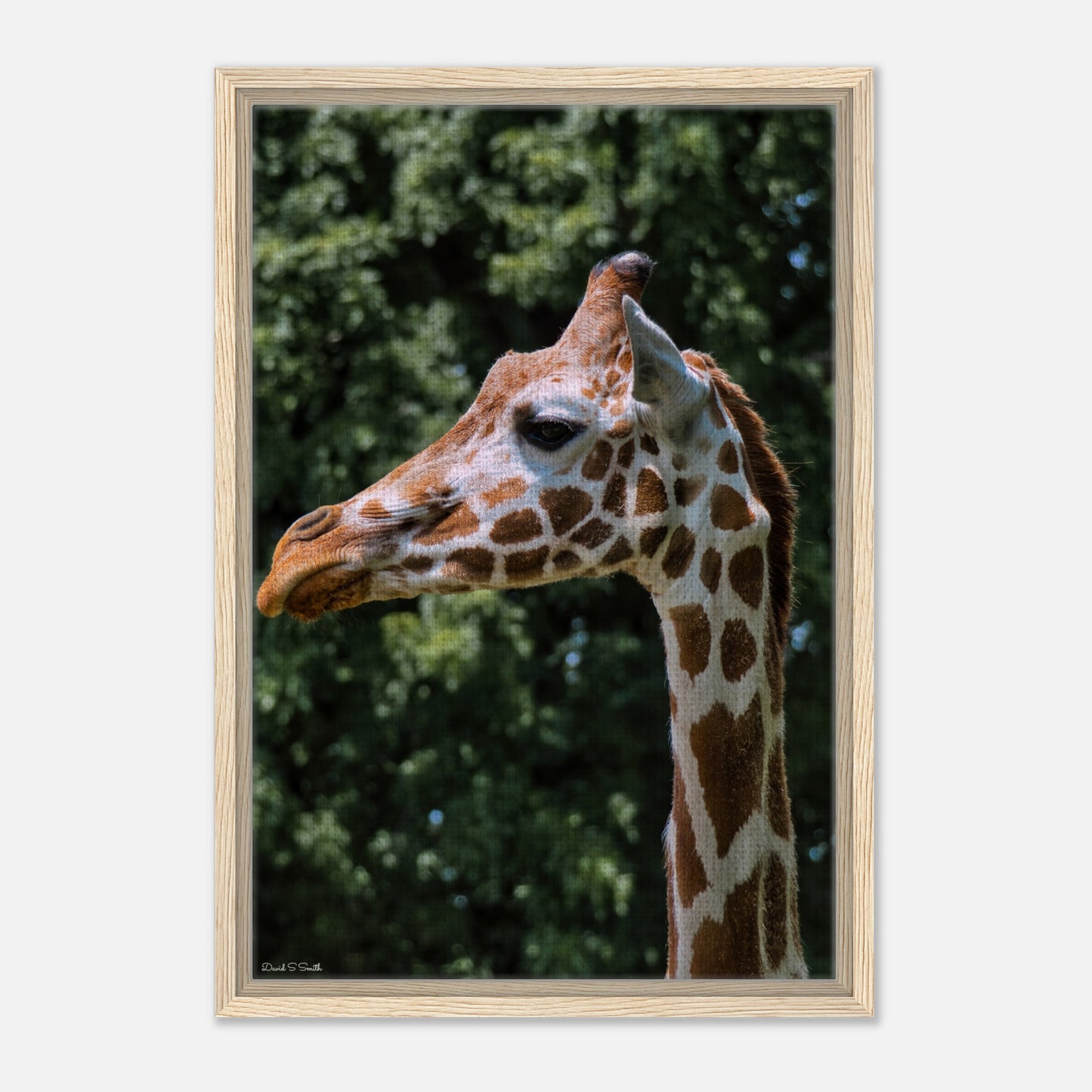 5e9cbdea-e7cd-411e-963d-4b724e81a318