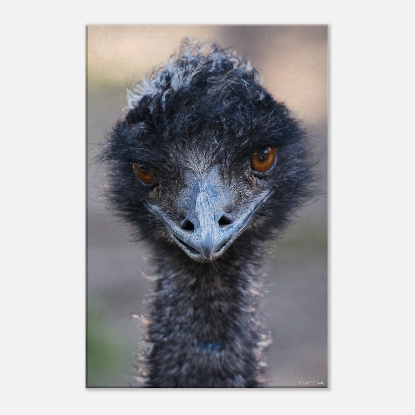 603c7eee-4f62-41d2-a49a-726b75f84b99