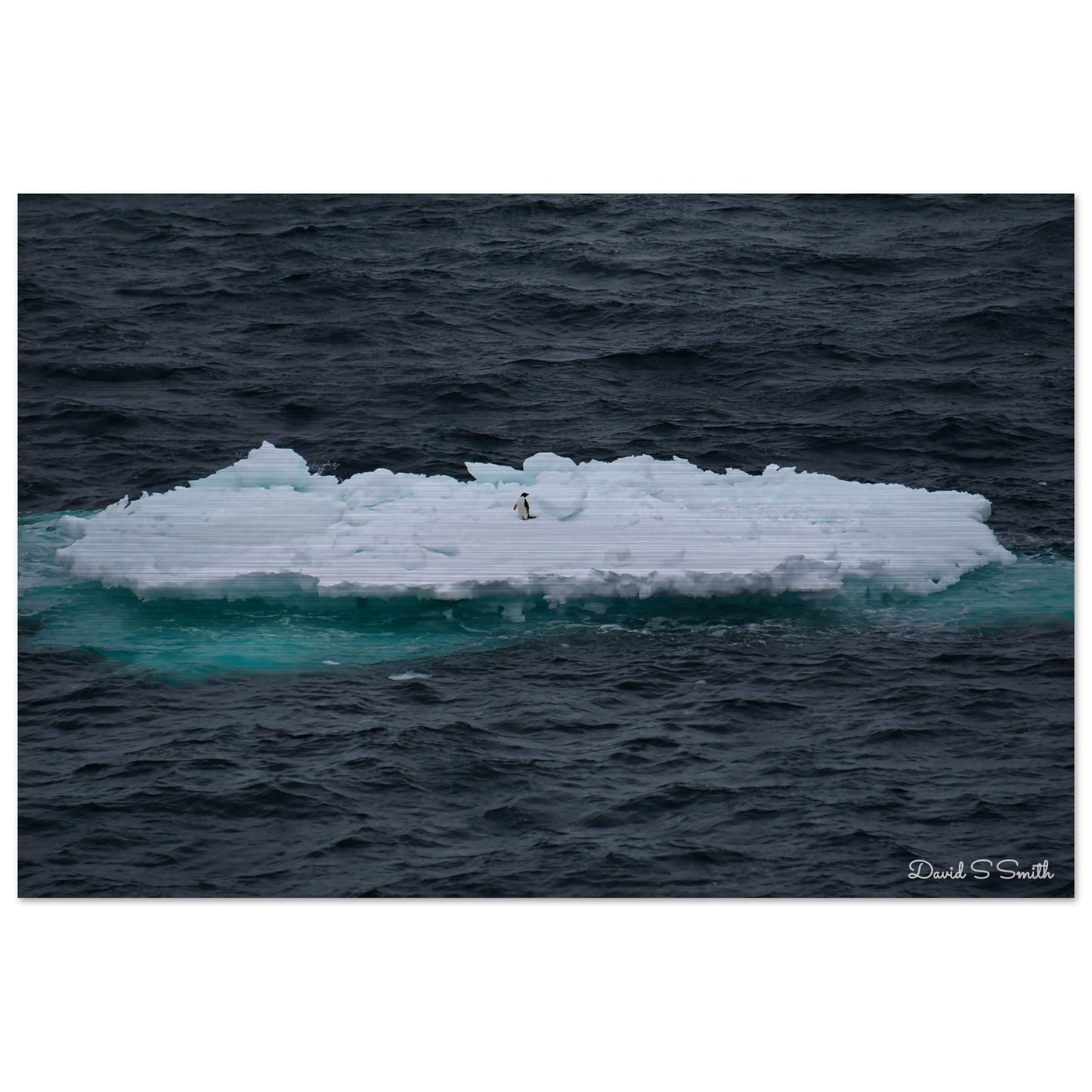 60a7f51e-2a73-4ce4-8825-7a8e1895ce2f