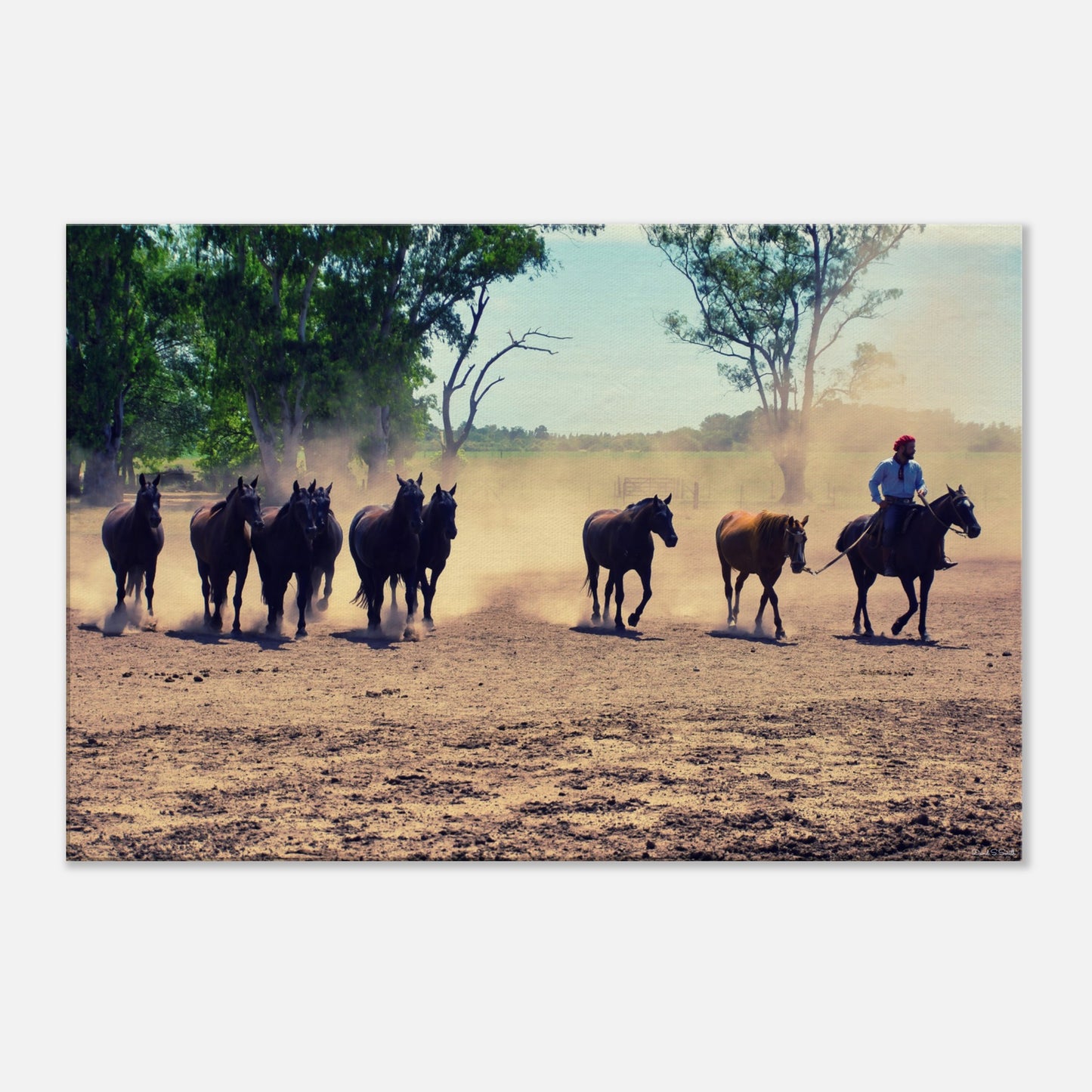 62b8e1c9-53db-4b42-95cf-24940e8c57d9