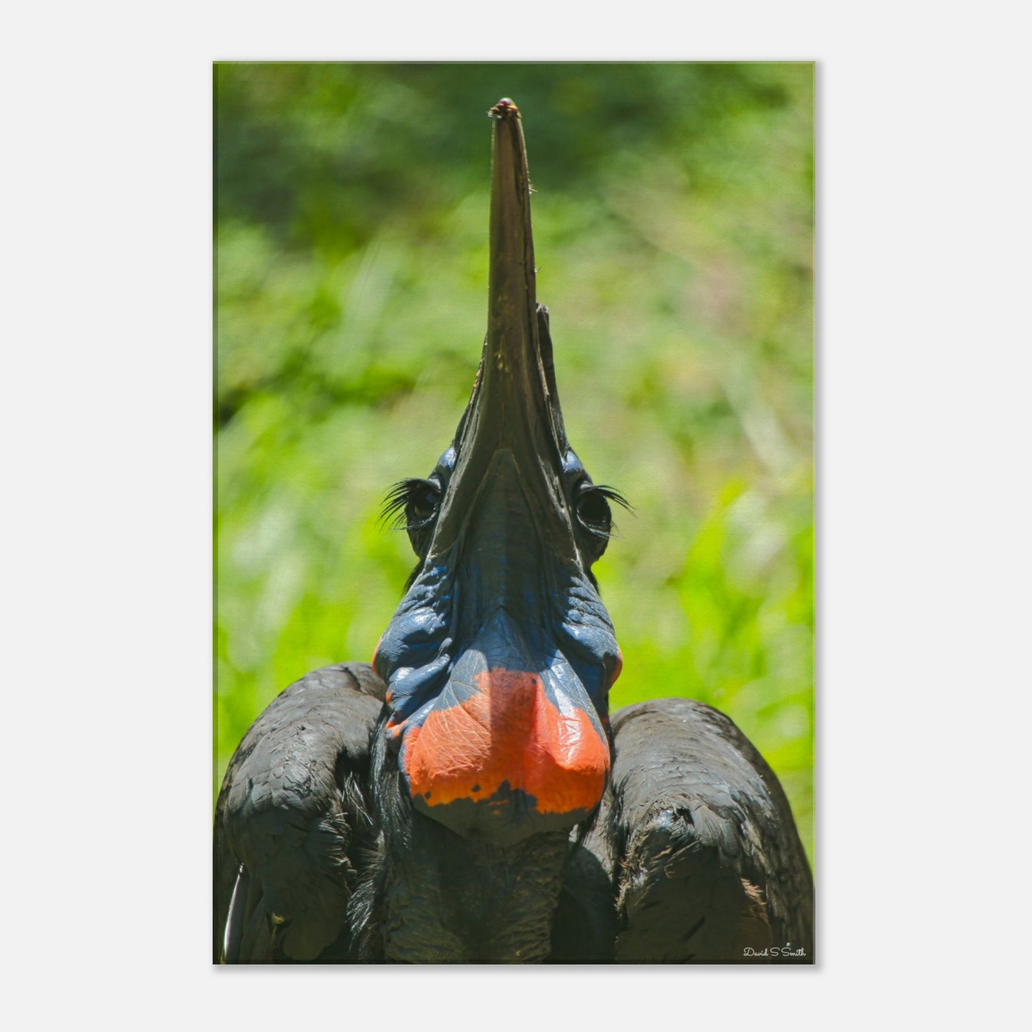 637c74dd-31b6-4241-a6be-fd6b2bd5c3a8