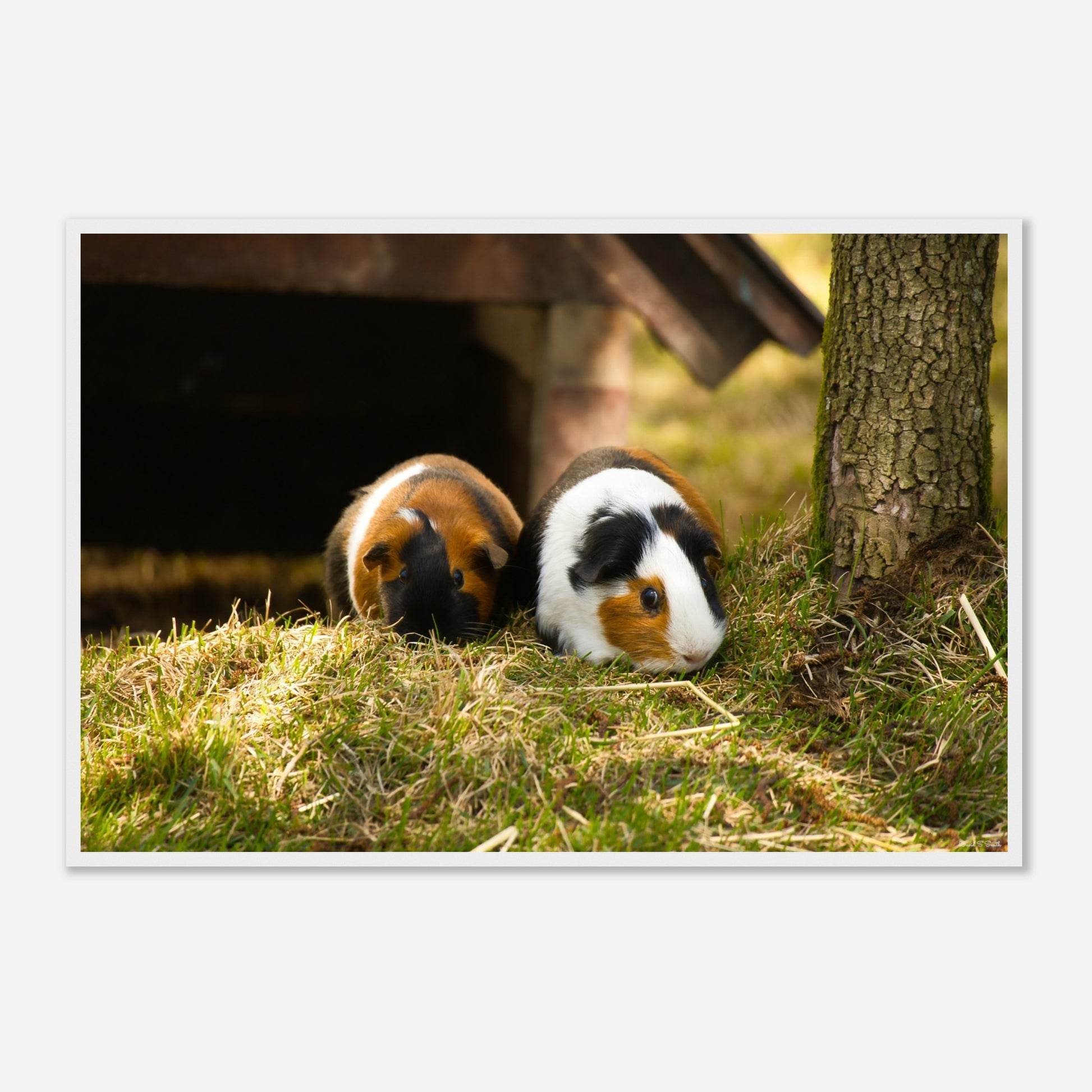 643af837-afc8-4386-8f6e-df2cc963a7ed