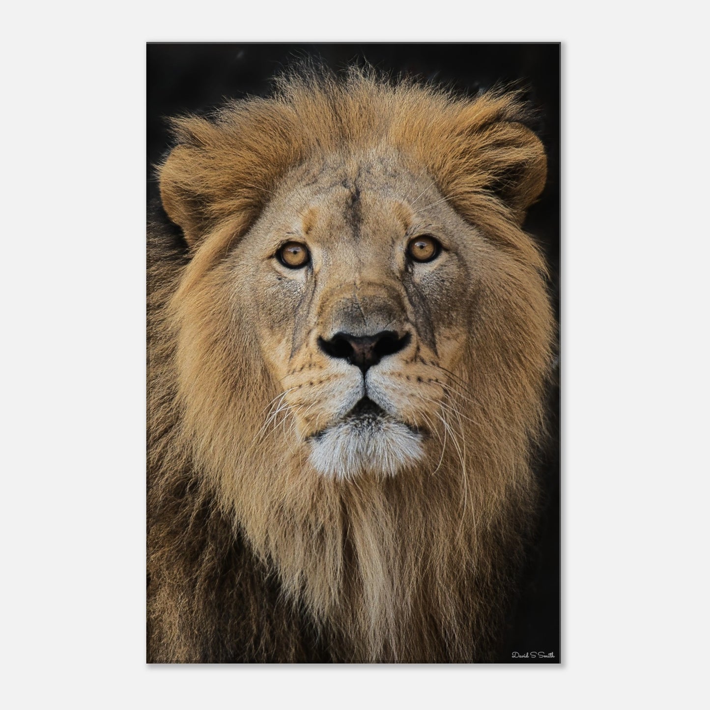 64a49de8-0010-42c3-9368-acb40c6d8ee2