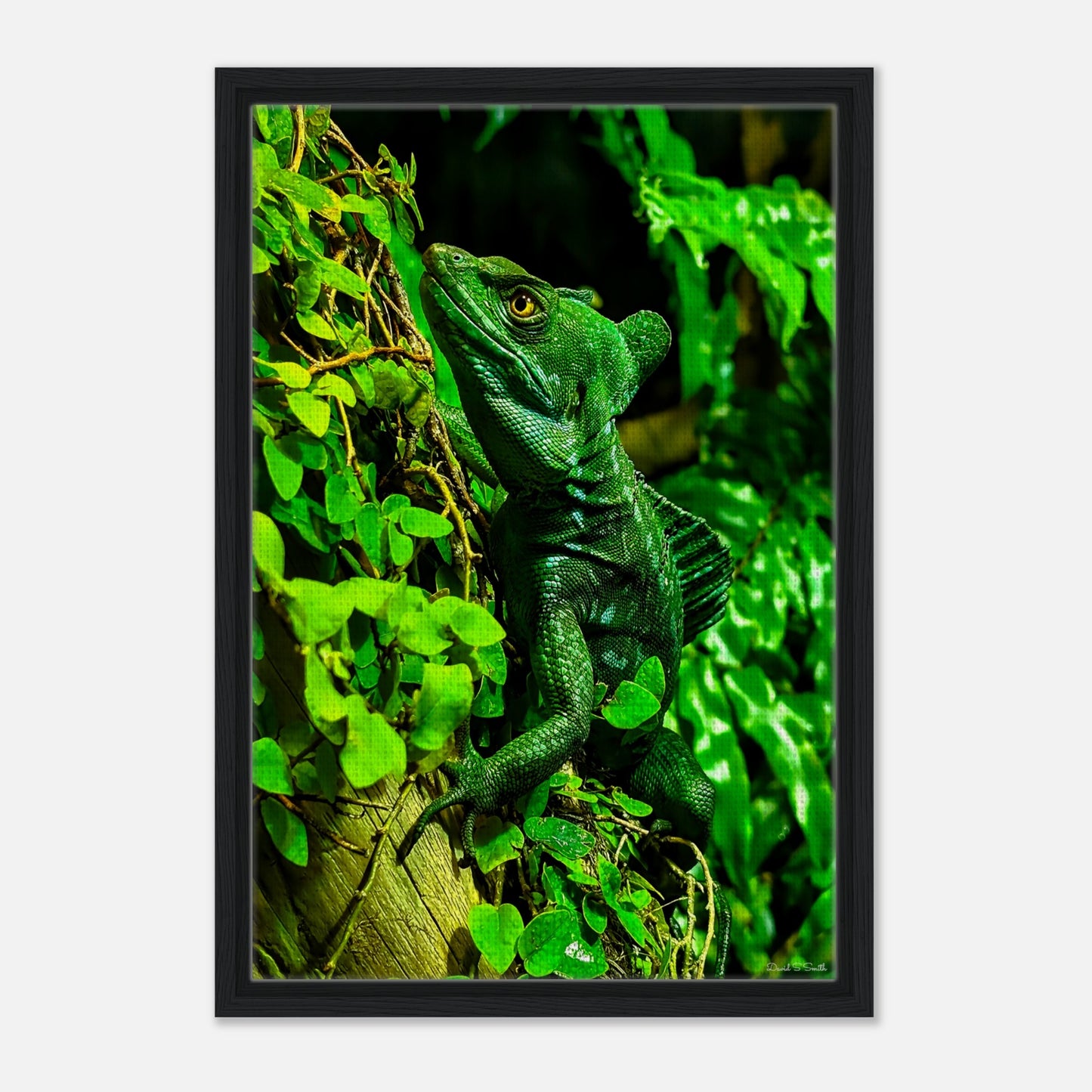 65db3ec2-e518-4f00-bc46-c09f8cea7740