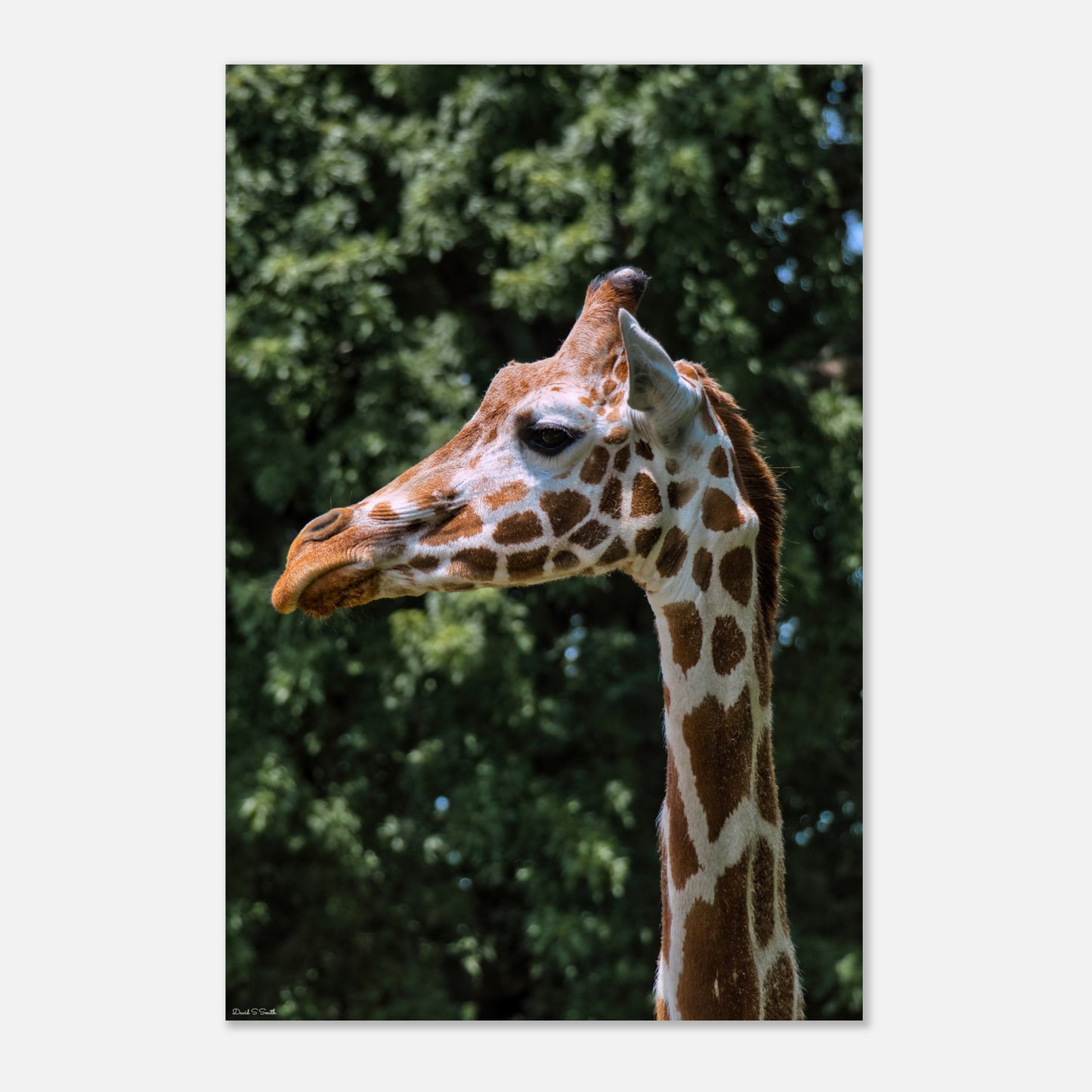 6697a1b1-ad13-434e-8b07-ebbaadaac2e7