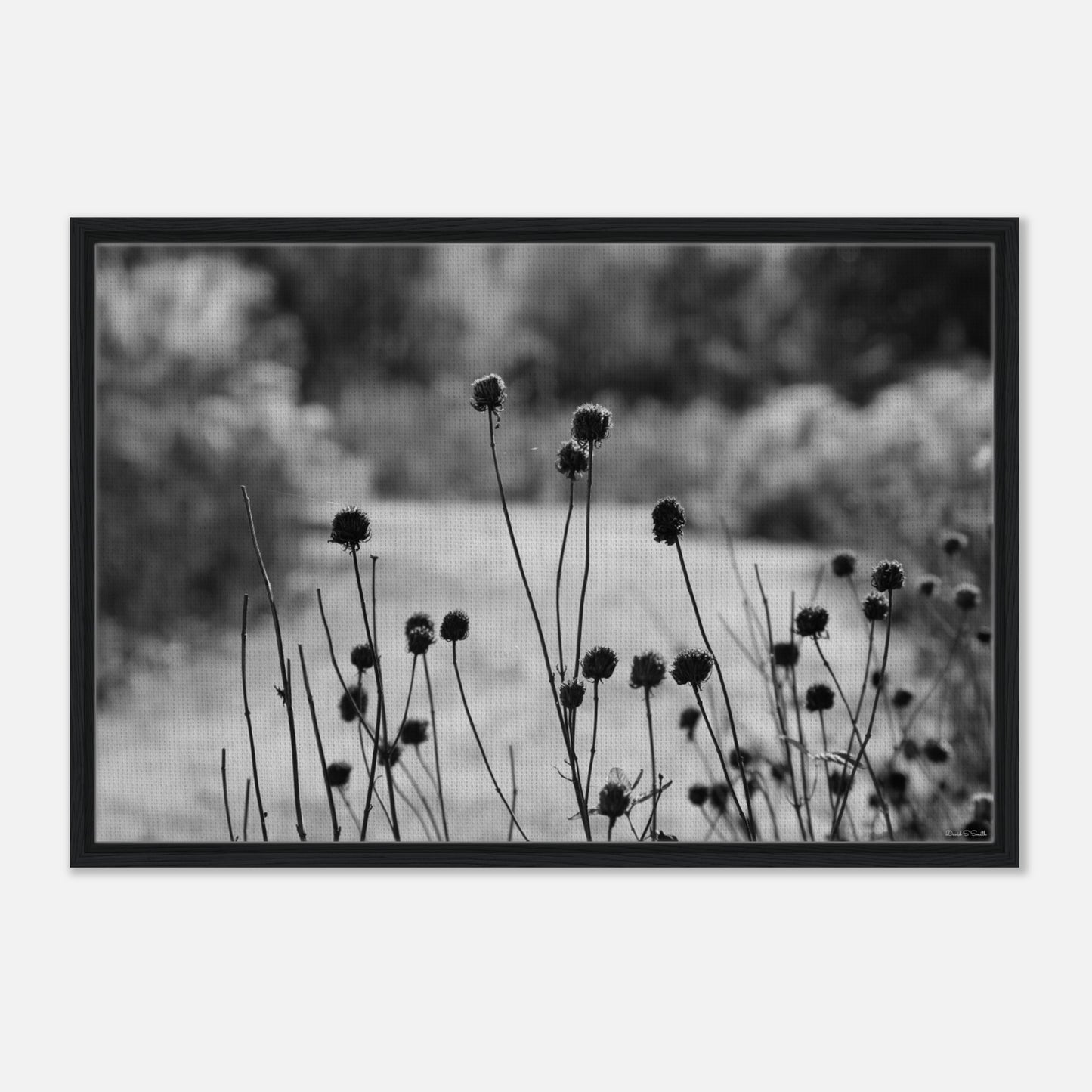 681a21d4-d91f-4278-a15e-9bd8150a2cb4