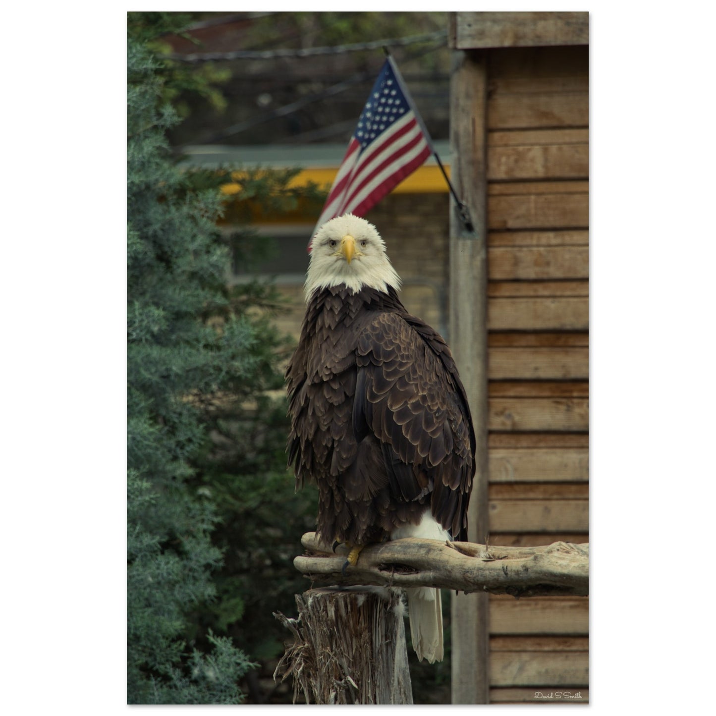 685c5b66-9545-49bc-8a8f-4199eed1e7aa