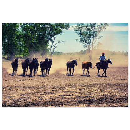 68b7e035-9a20-4f83-b3d2-bd8219aa8168