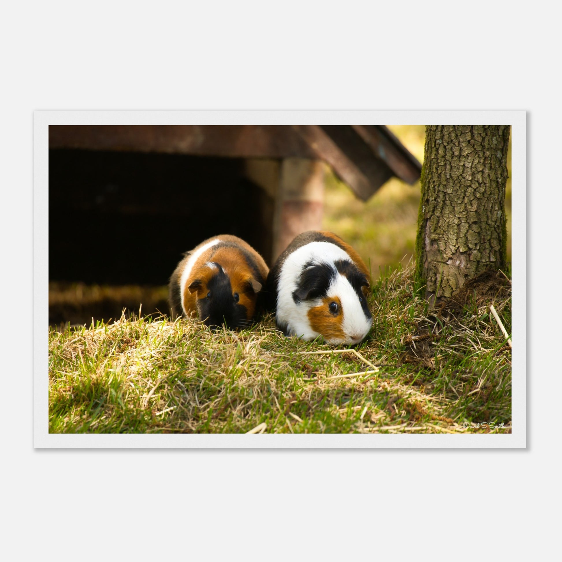 6a07534d-2209-4be1-b55c-6b2a4a635ce7