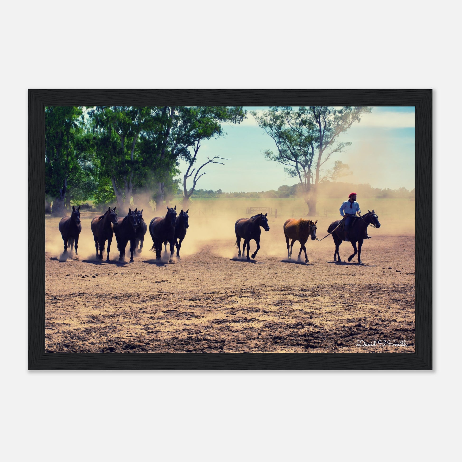 6cd36ddc-d37d-473a-9d5e-04768e5b2a10