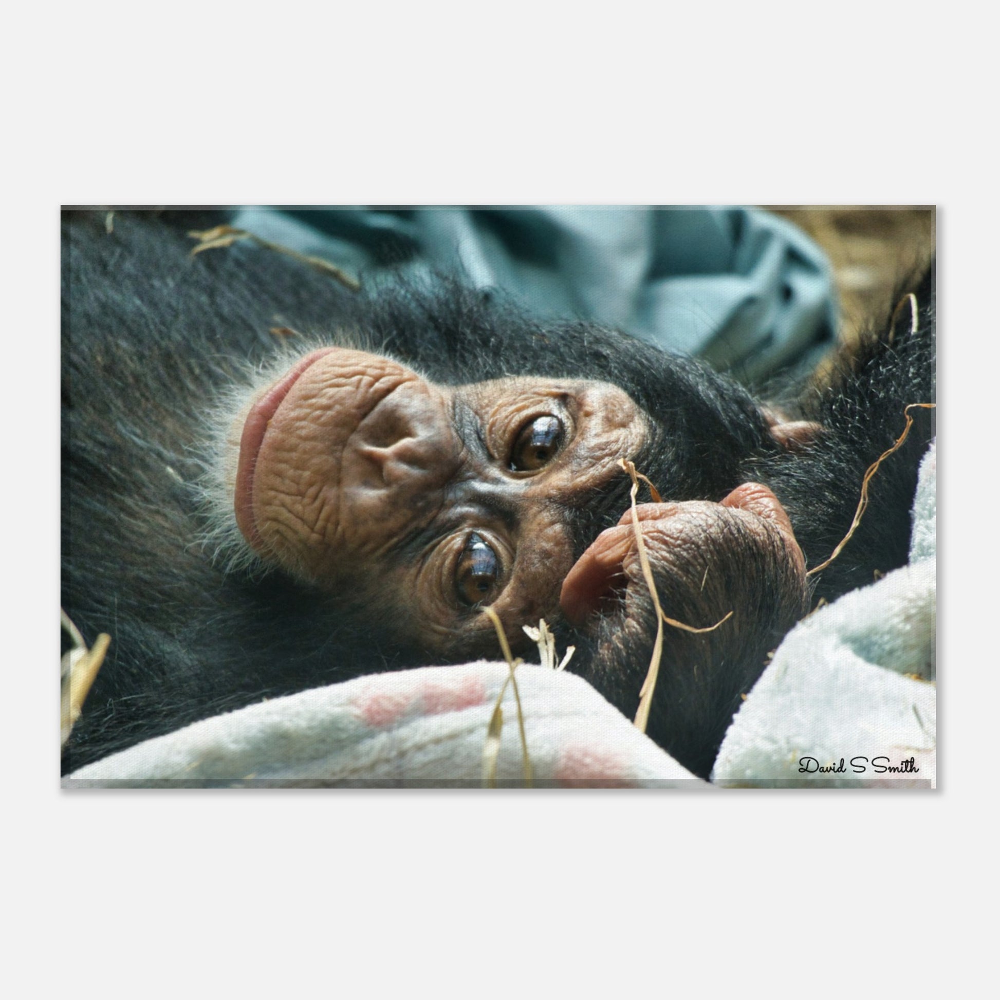 6d38bd37-8567-4376-8eb3-b293114b5c12