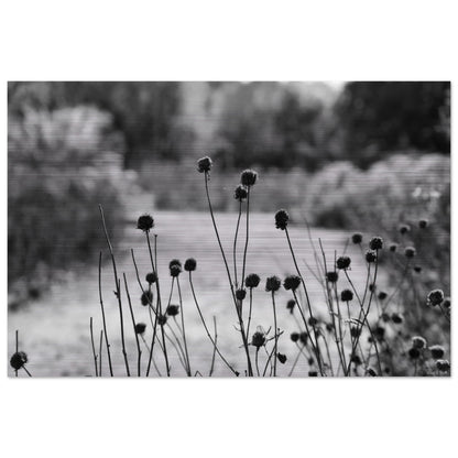 6f34b634-4786-431d-ac75-a4bdae571dd6