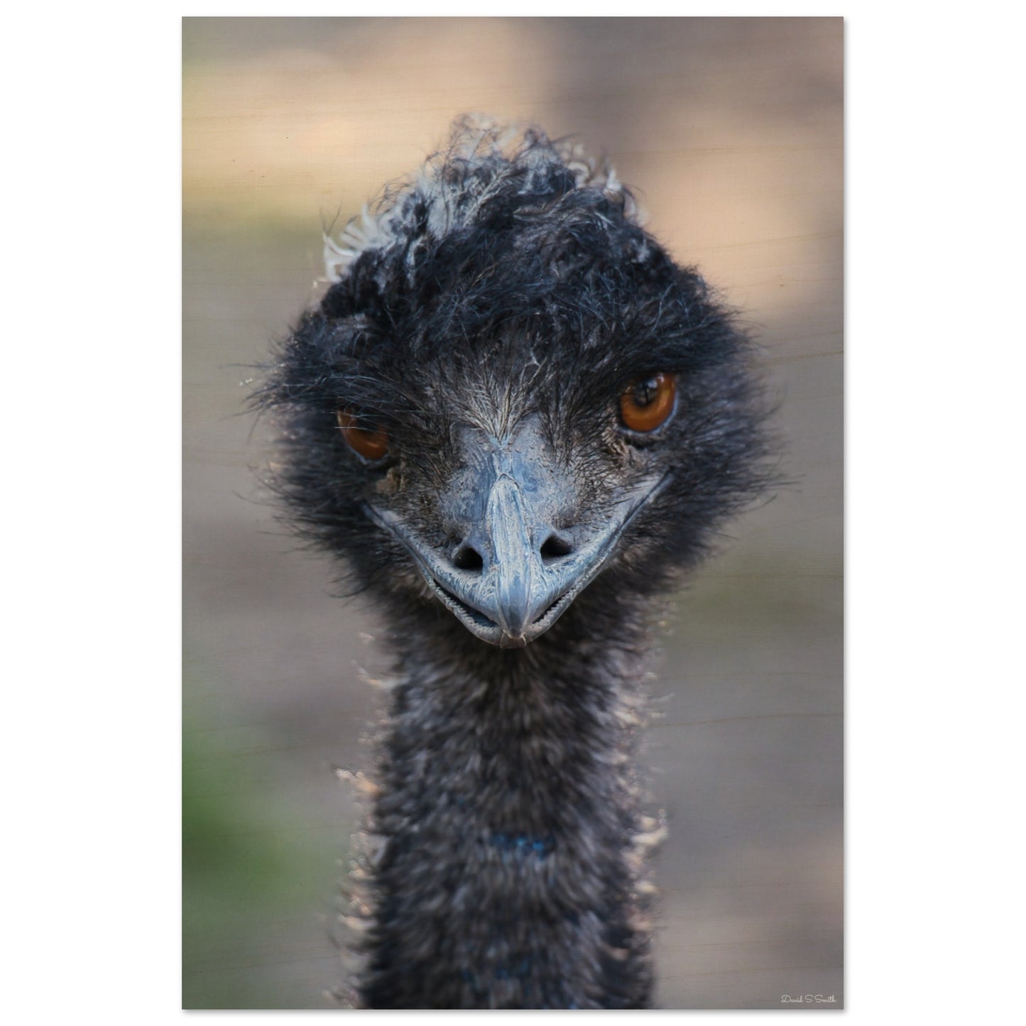 6f5c23c0-8a68-4246-9e6a-e71d1e5bd413