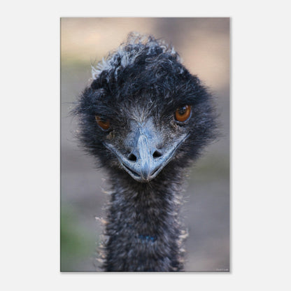 6f7a5bc4-b0c8-44ed-9c0a-9b8d1f08c877