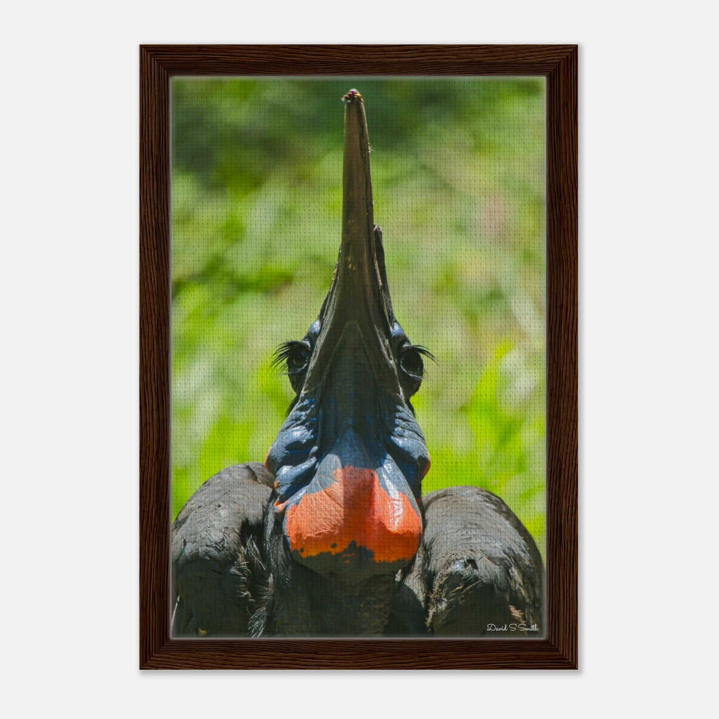 70071448-5c81-4334-9cae-3444fcc770d6