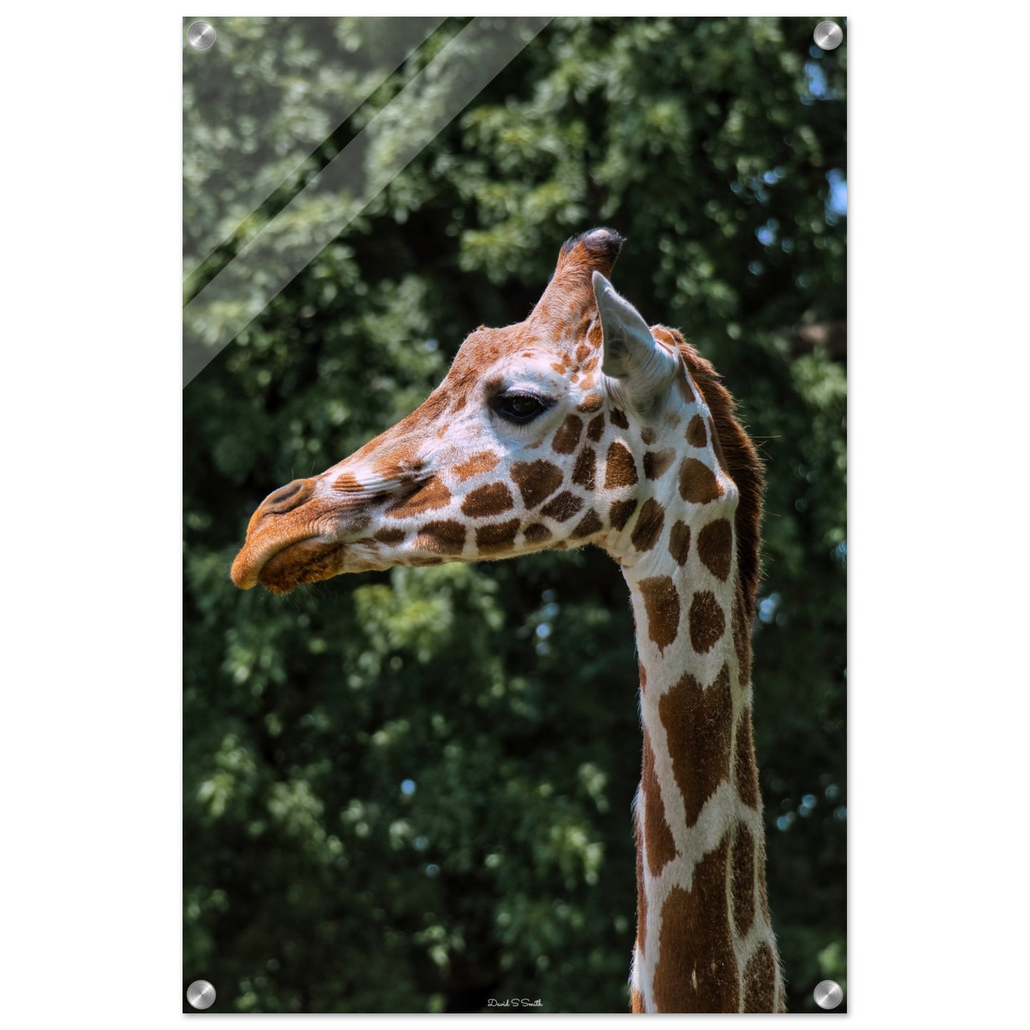 70a12b70-f03a-4092-8a16-3126d8065e27