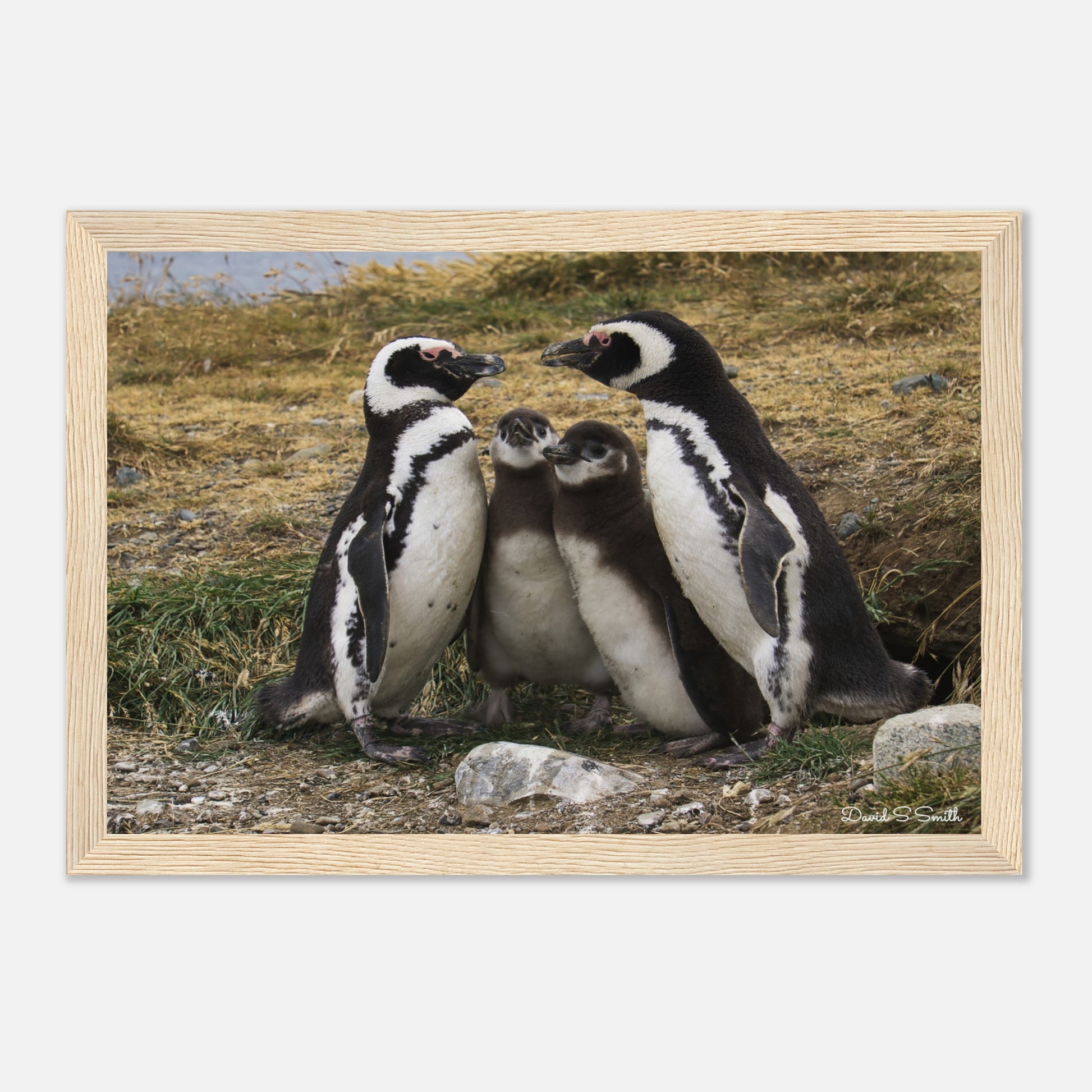 71c0679e-3dda-4a19-84fb-a3e29301d9da