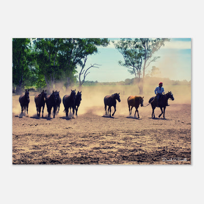 71e2cdaa-2b00-4428-bdcc-8d55df1b371f