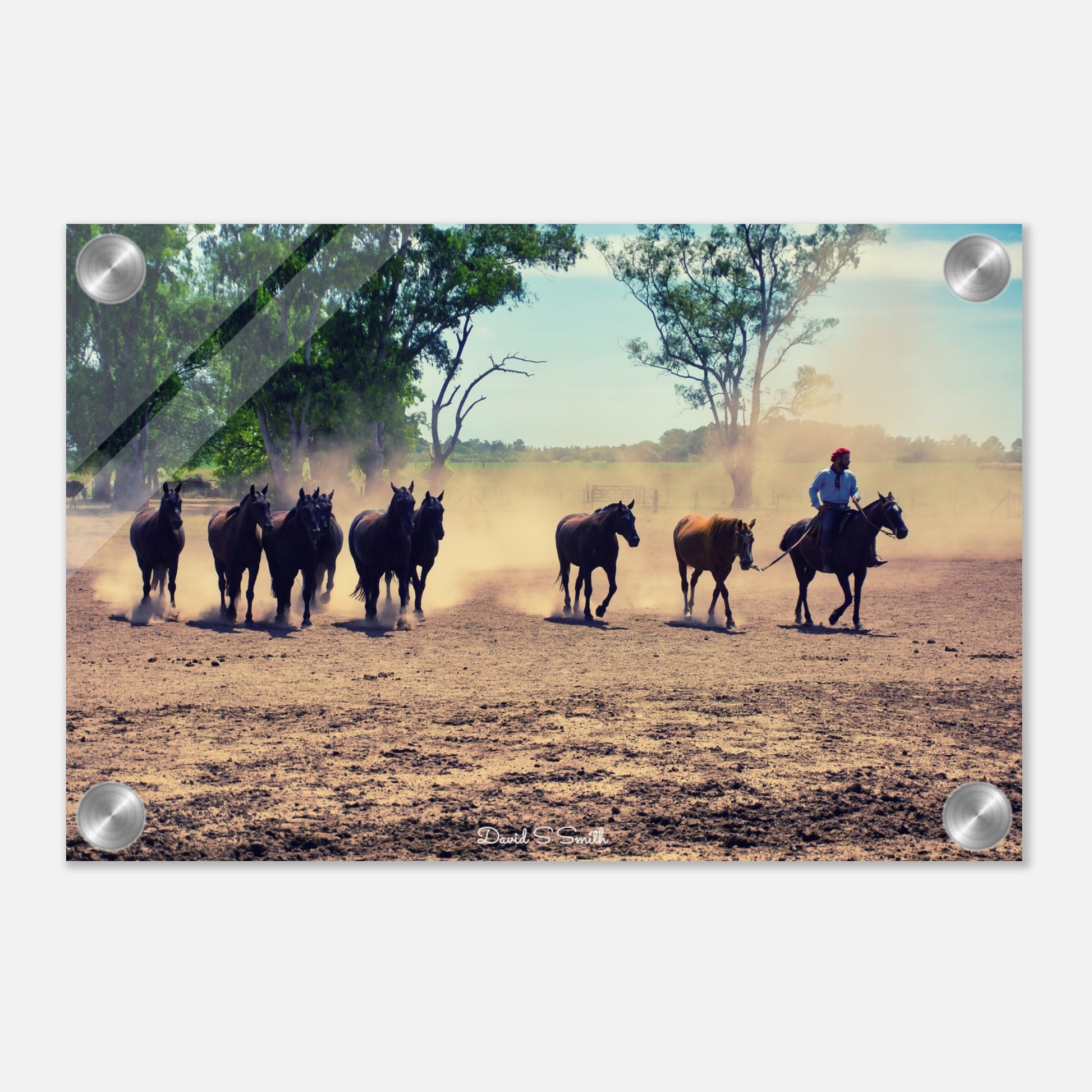 75112e3c-a816-48f8-b1f1-34d01e9acf5d