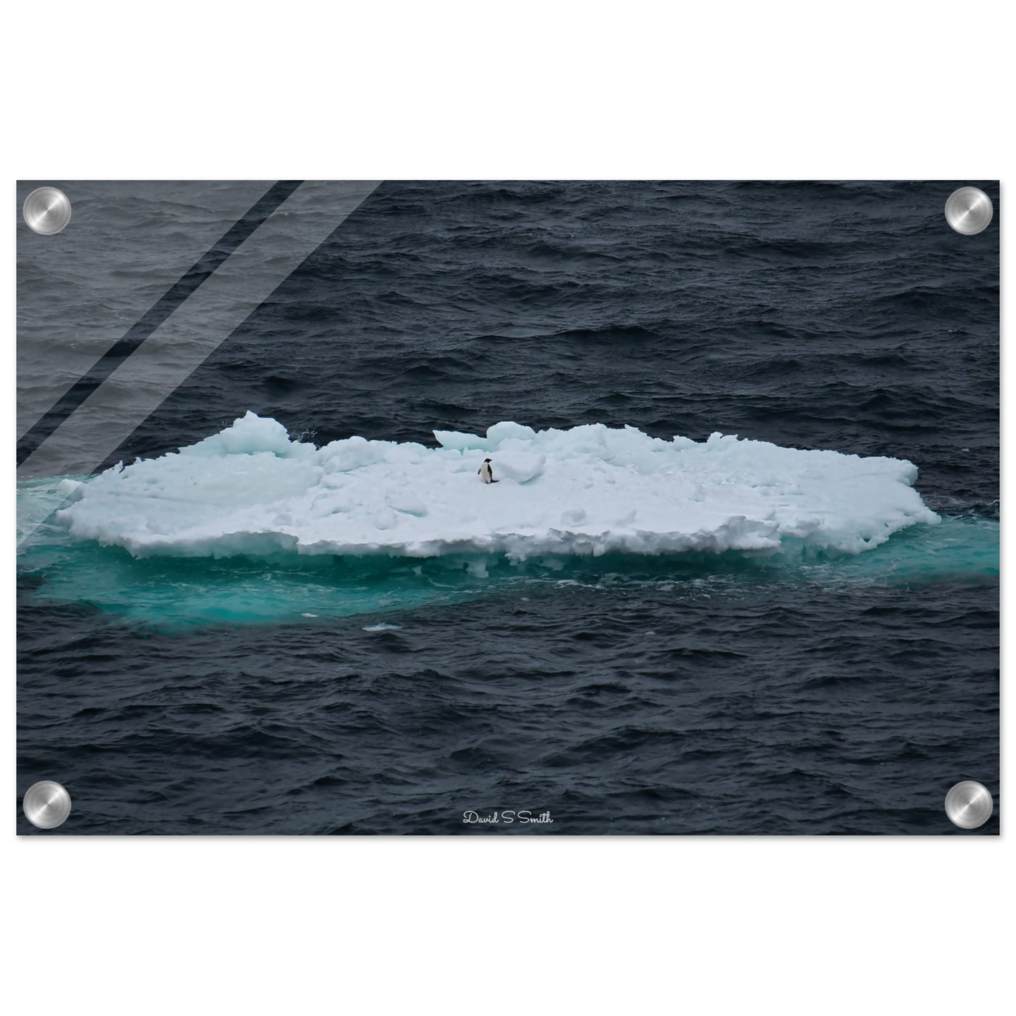 7557edb4-3e5f-4763-9bb9-6726e472848e