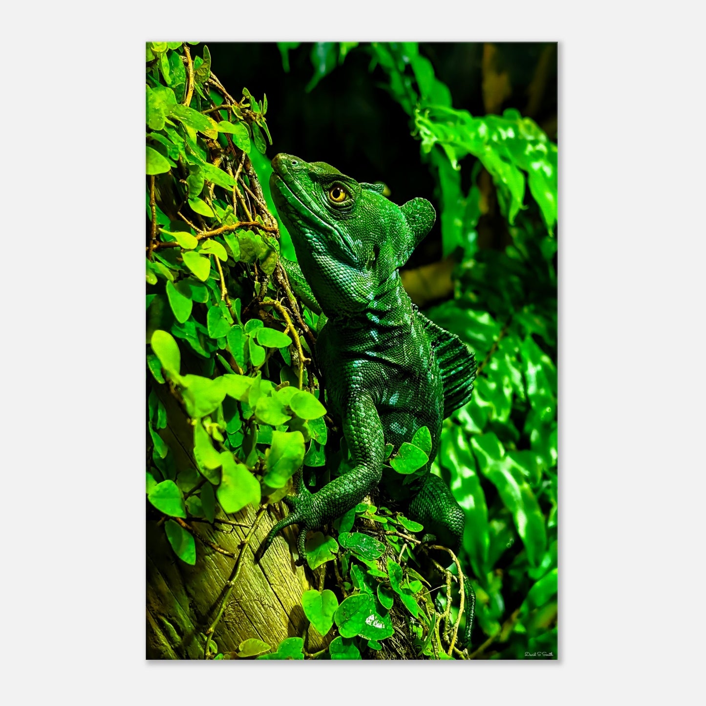 776425d7-a8c6-4b70-85de-4c80ee4f315d