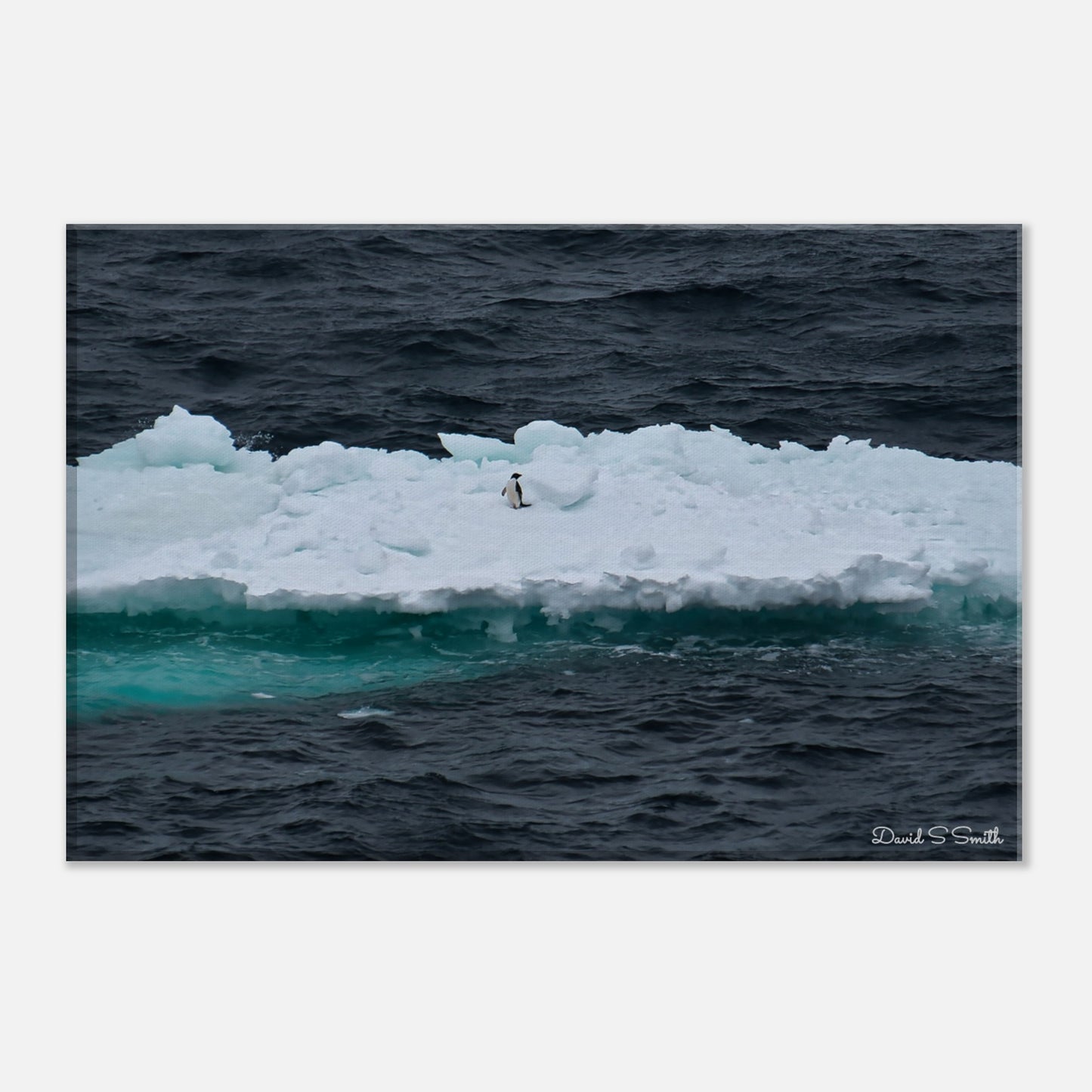 7818c04e-3256-47d0-bfa6-2ee22a77aa21