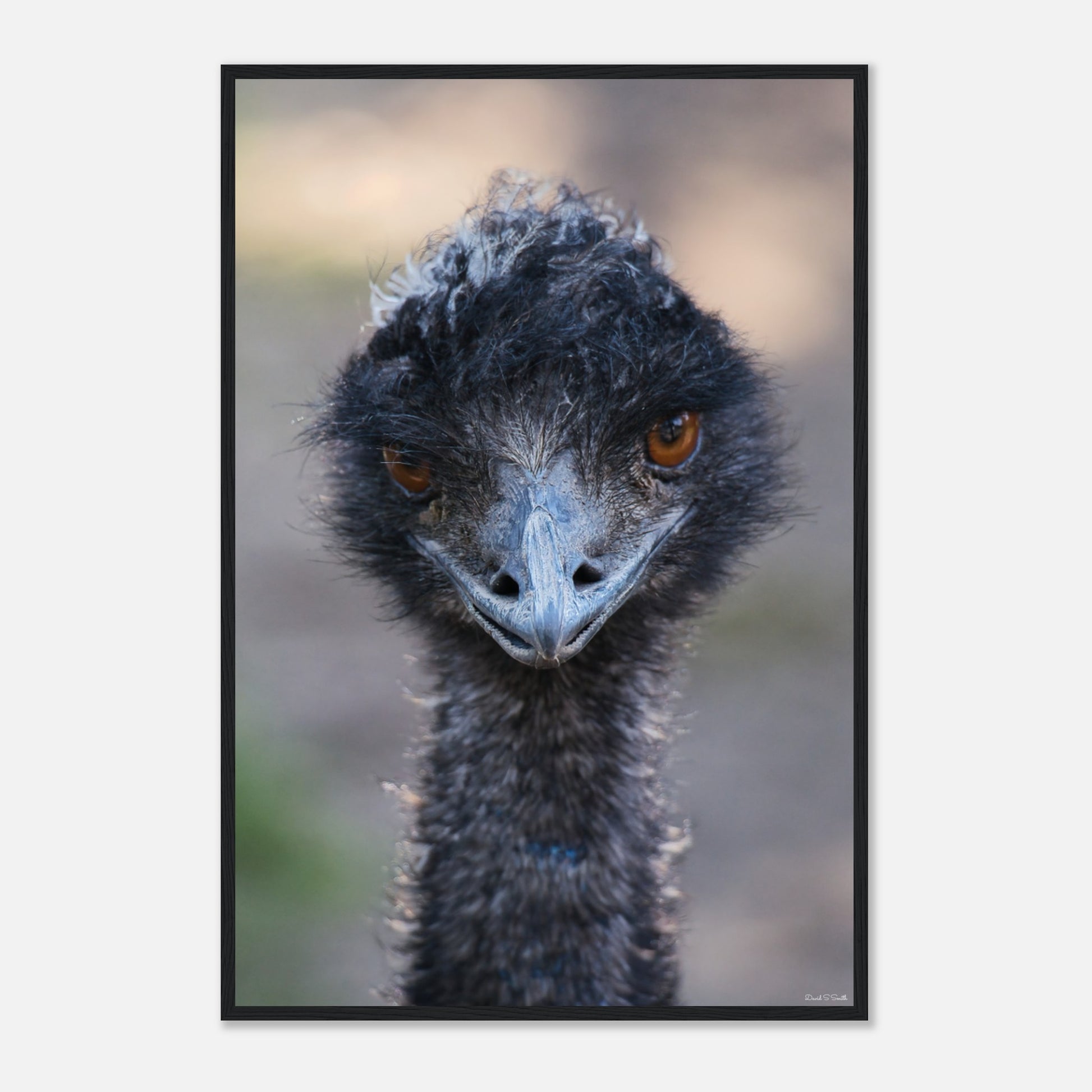 78adfc3e-46e5-4550-97ba-8d00b33f33ab