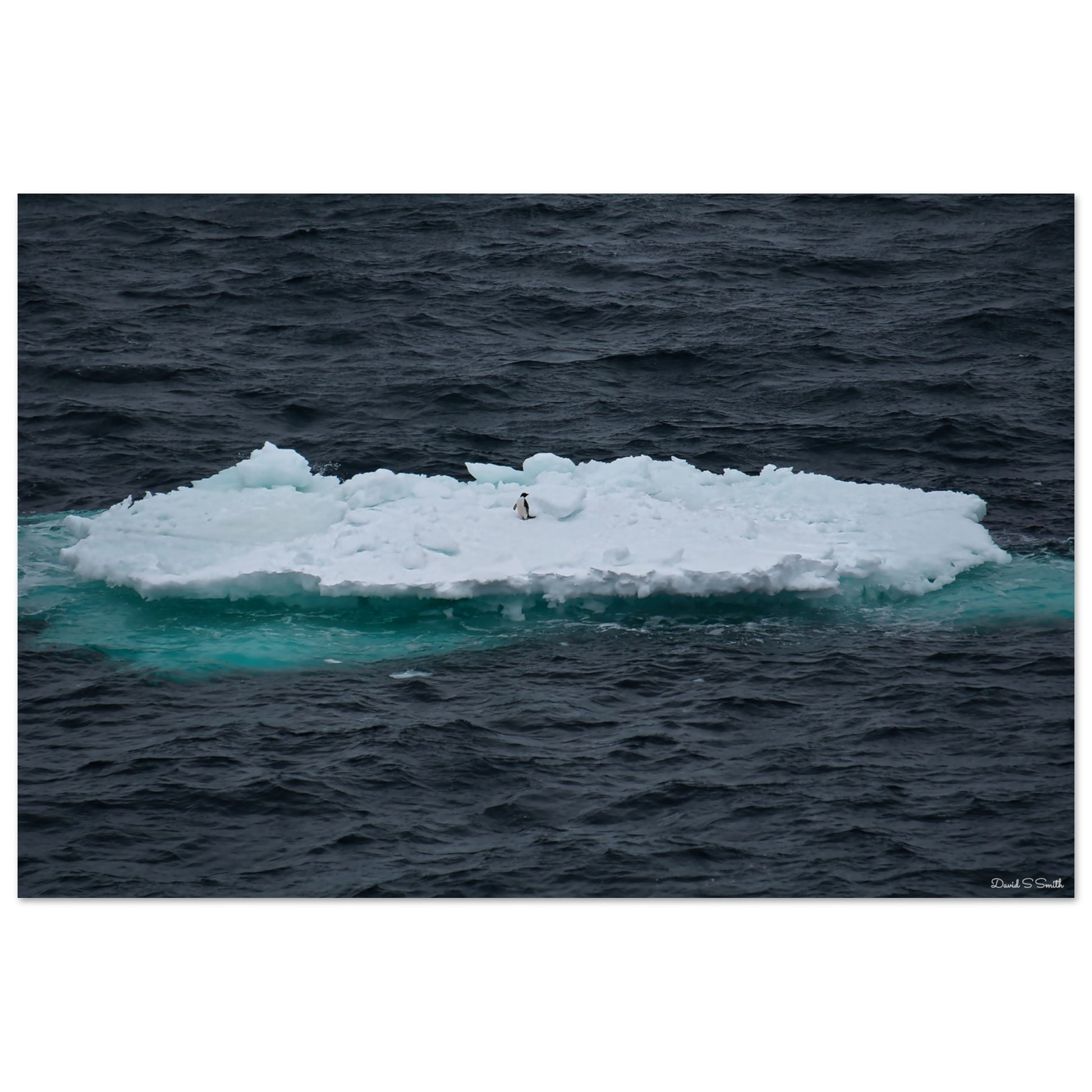 7a32ce9f-80b1-438d-821f-8b21bfe832c1