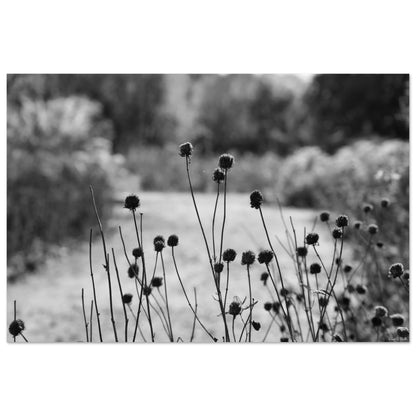 7b0808e1-b178-4dbb-b8f4-da1d5fe24073