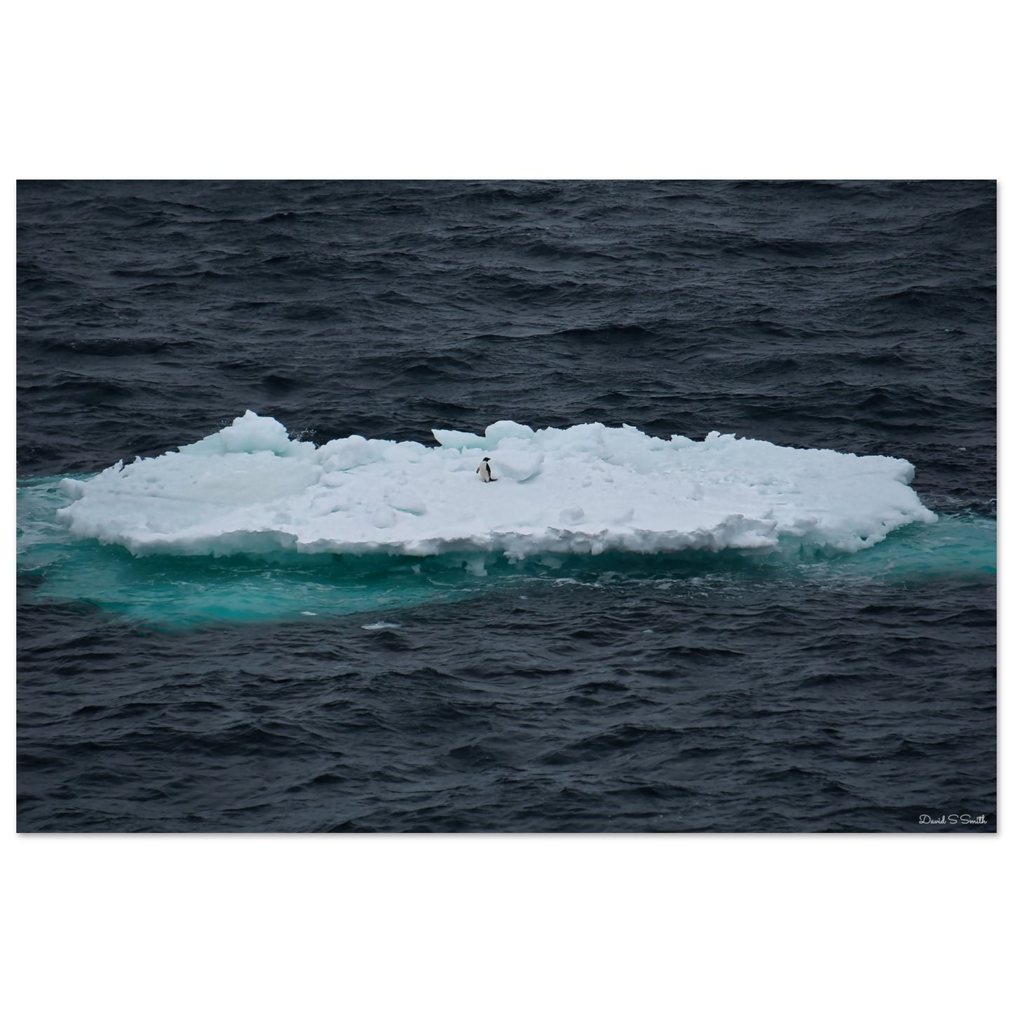 7c1b5c55-fd60-4bac-8115-c33981ea52e9