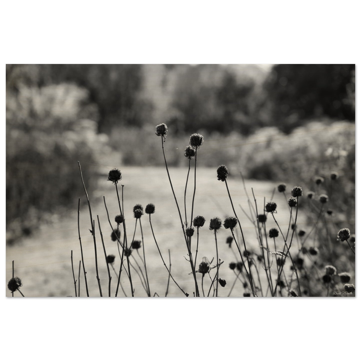 7d356316-1edc-4af8-b01f-ee956571c345