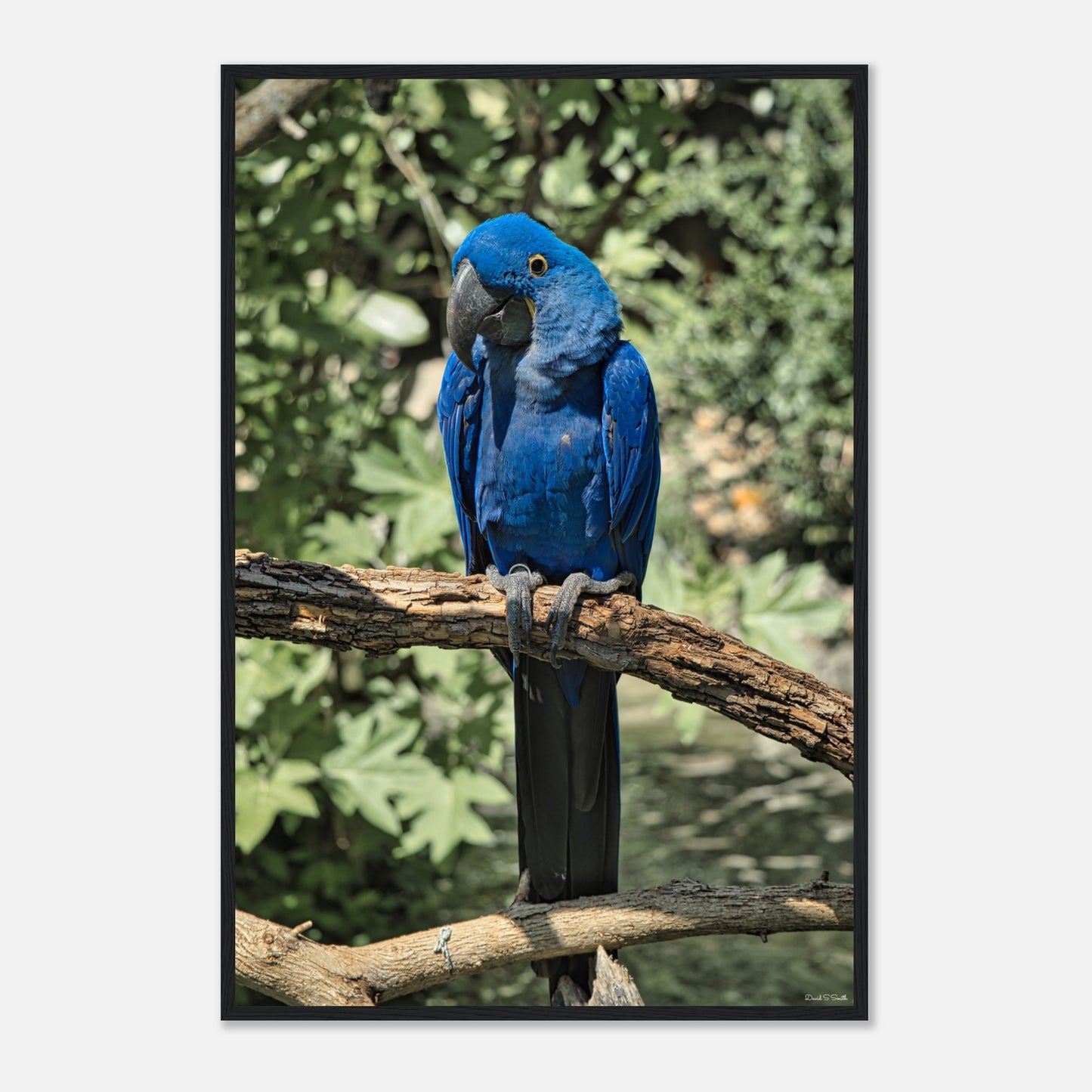 7d43f084-86ce-44ba-8fa7-8e28c5847b64