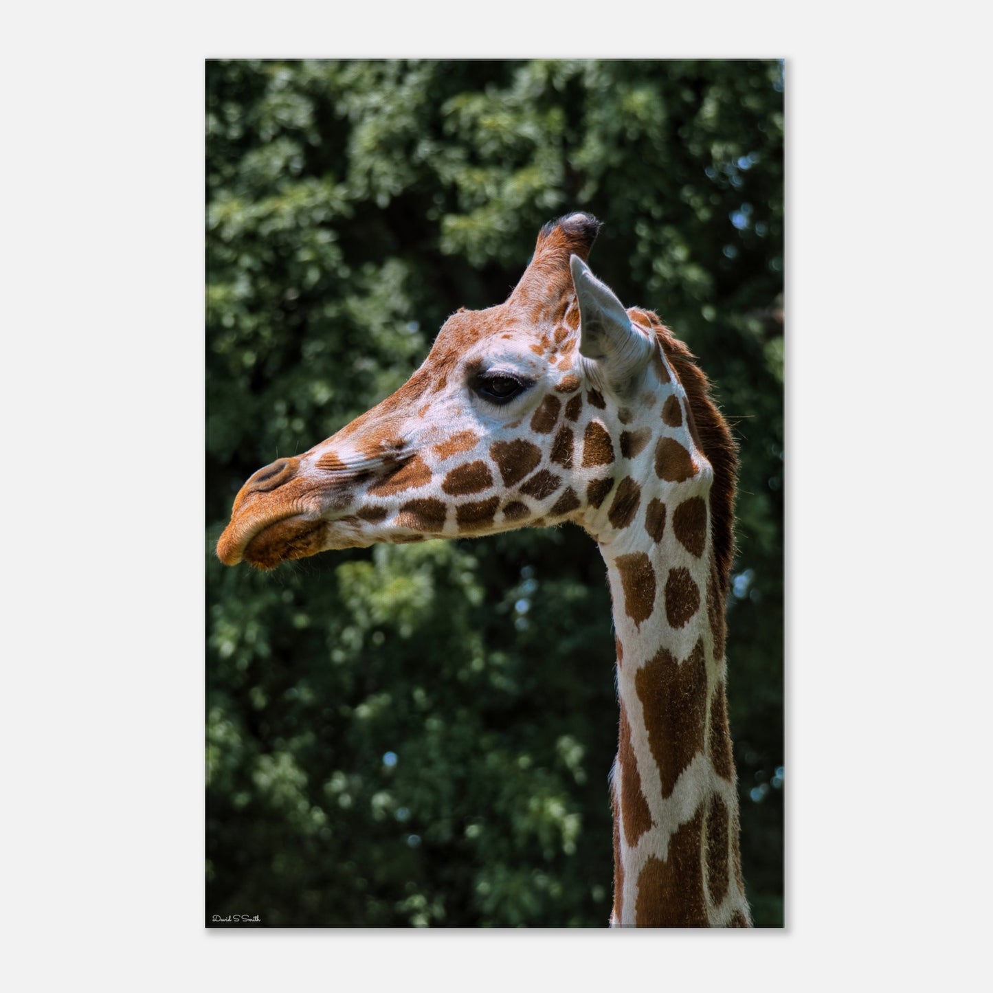 7e4dbcc0-a41d-4322-8c12-fd93466f92d2