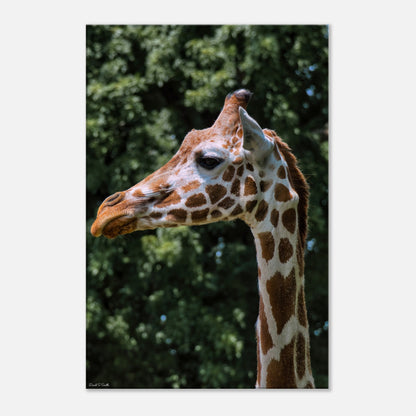 7e4dbcc0-a41d-4322-8c12-fd93466f92d2