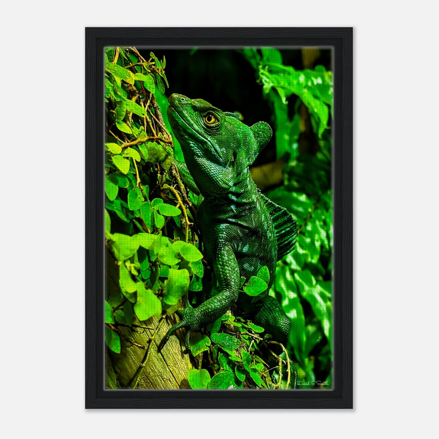 818acc79-bf8a-48ea-a646-3b2c36778094