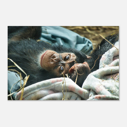 81c26bc2-9856-48f2-8ad0-f48072489d34