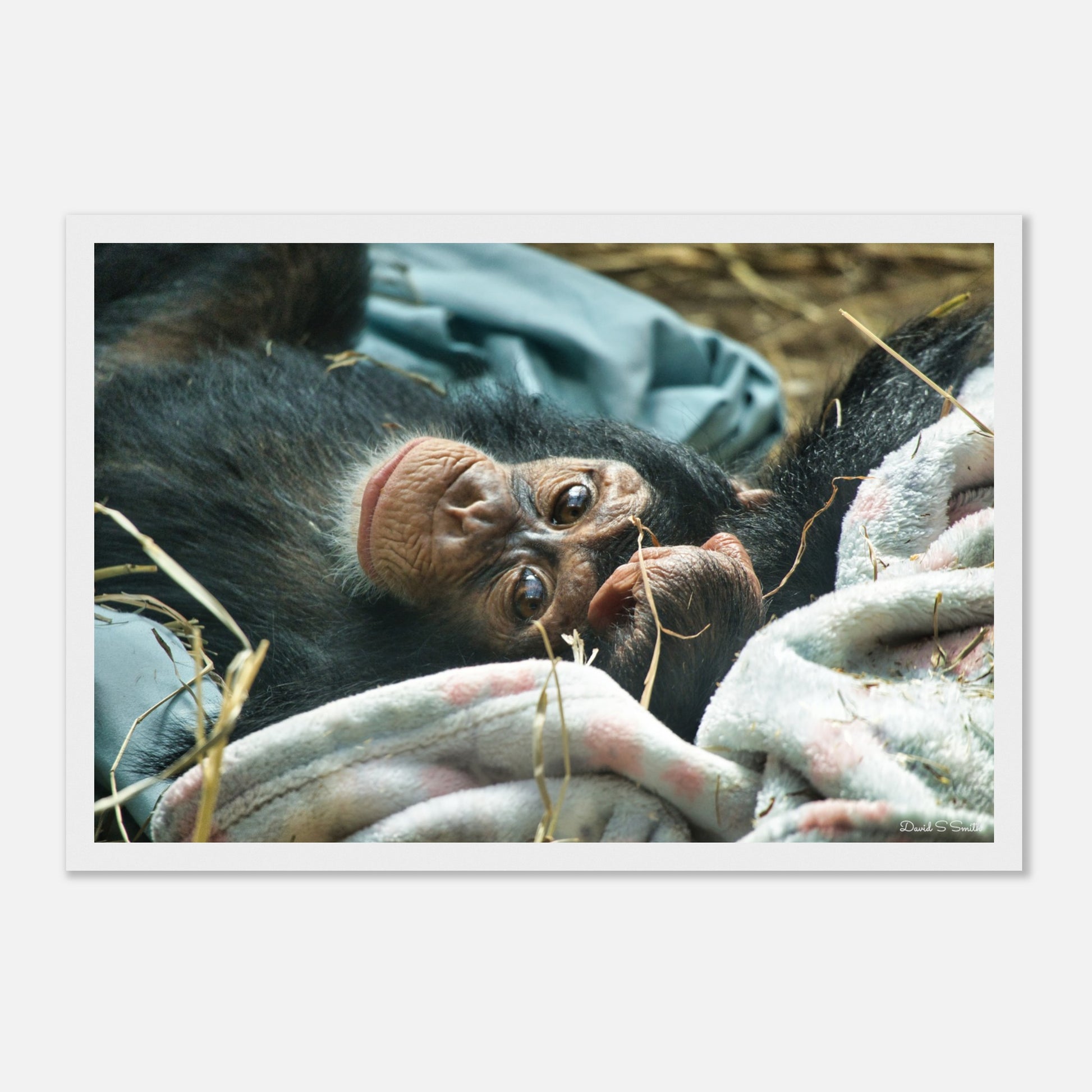 830a843b-6401-4345-a320-b6c5ccefcfb7