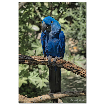 83d31ab4-b40b-4b46-9bad-b9aab6ffa63d