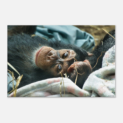 84b86d76-7532-4782-bf5d-b706a764a13a