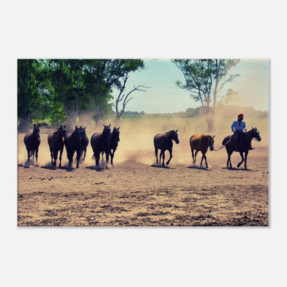 84e405fd-c80b-42b3-a4f1-f4a401a29958