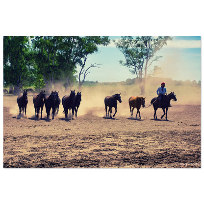 85fc9642-2634-4003-9ef5-d3a0215e071f