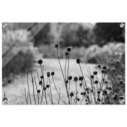 861d0df3-55bb-4d0d-9a03-f22b6a7a57b6