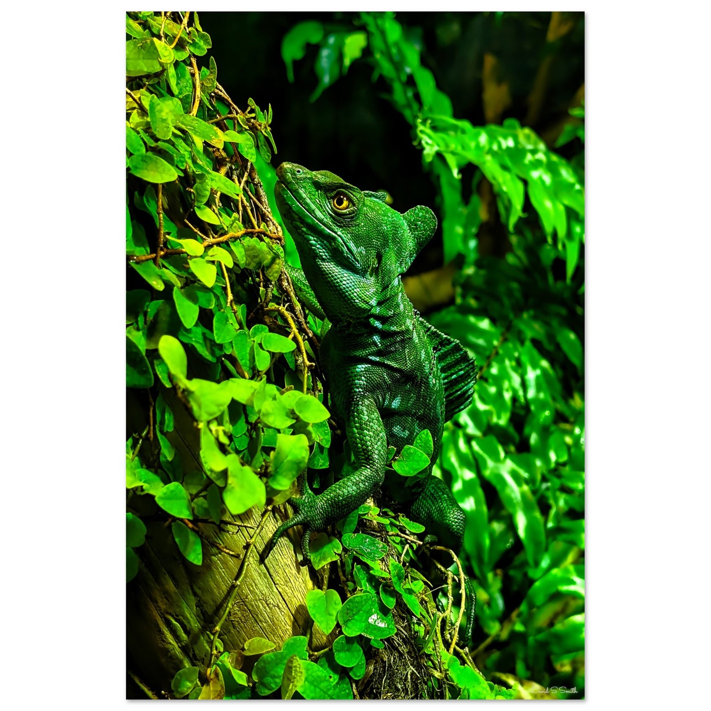 877f01d3-69b2-4ea1-a8cd-7d65ad6b3607