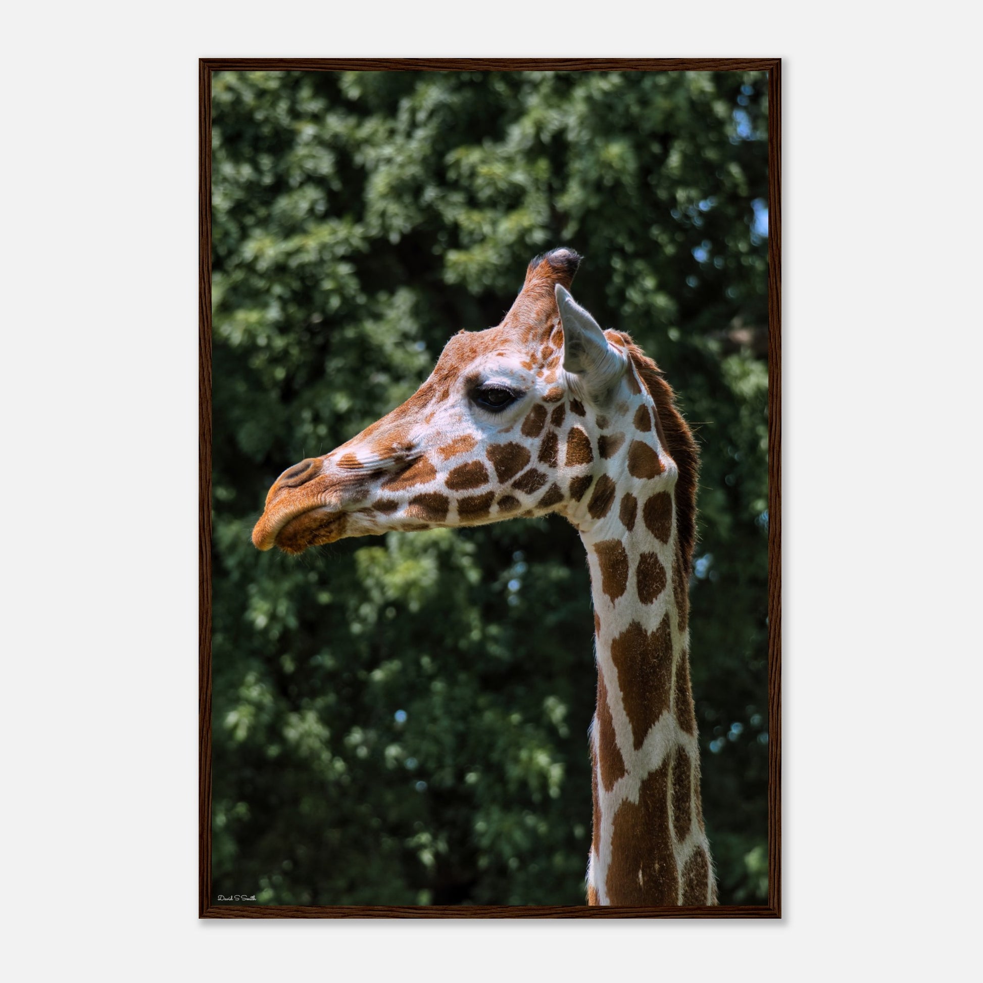 896c2300-1762-4e63-9939-99b237b3288f